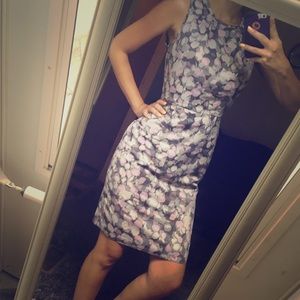 Loft Ann Taylor Sheath Dress EUC